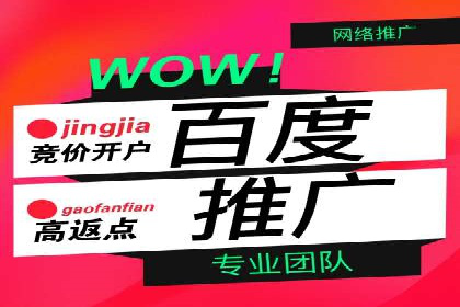 某企业通过抖音信息流广告实现品牌突破的案例